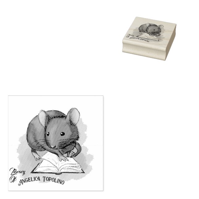 Tampons Encreurs Timbre Encre De Propriété De Topo-Livre (Tamponné)