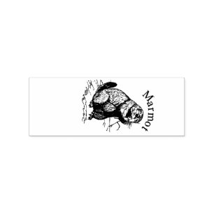 Tampons Encreurs Tonnerre_Cove d'animal de marmotte cuite
