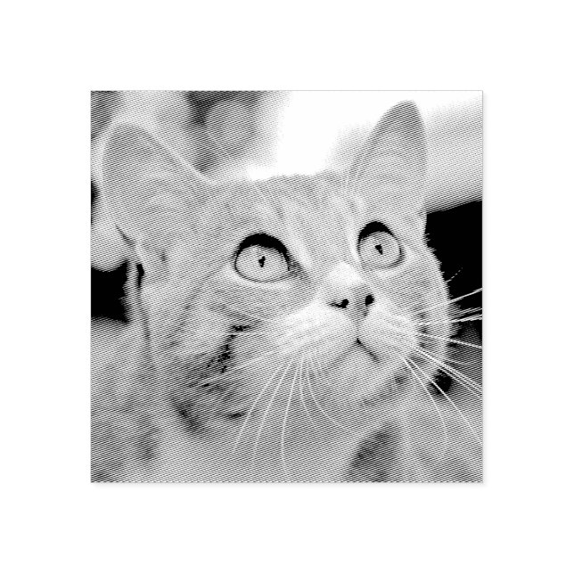 Tampons Encreurs Votre gravure d'animal de compagnie | Gravé à part (Impression)