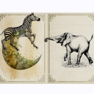 Tampons Encreurs Zebra Vintage Safari animal