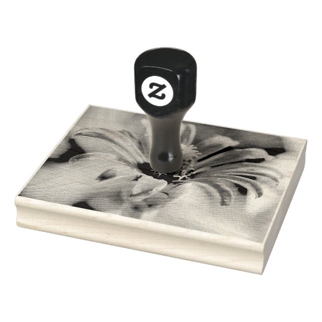 Tampons Encreurs Zinnia (Tampon)