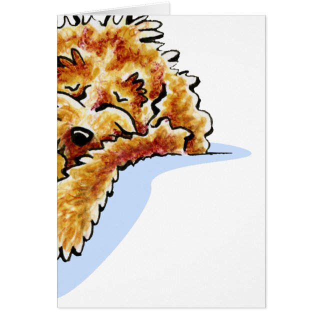 Tan Cockapoo Dream (Devant)