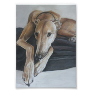 Tan Greyhound Chien Art Photo Imprimer