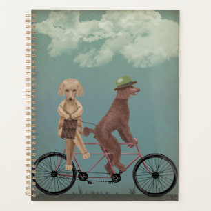 Tandem de caniche