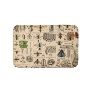 Tapis De Bain Abeille Insecte Bug Wasp Histoire naturelle abeill