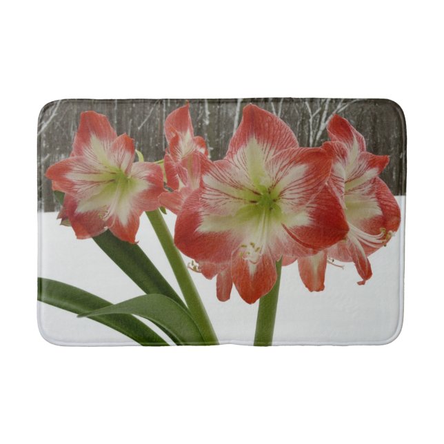 Tapis De Bain Amaryllis en Fête Rouge Neige Hiver Floral (Devant)