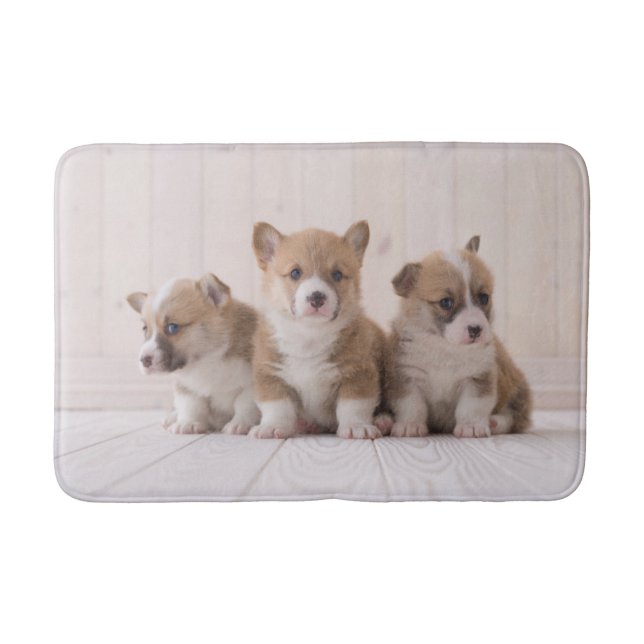 Tapis De Bain Animaux de bébés cutest | 3 Baby Corgis (Devant)