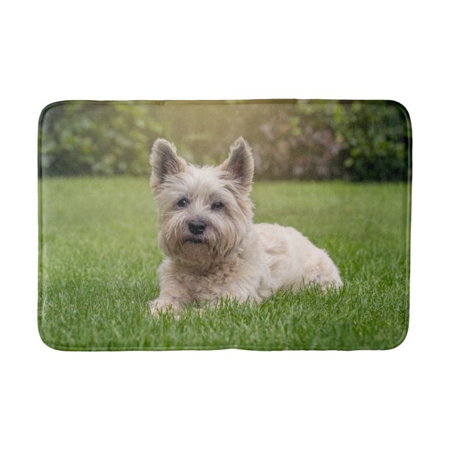 Tapis De Bain Animaux de bébés cutest | Cairn Terrier Dog (Devant)