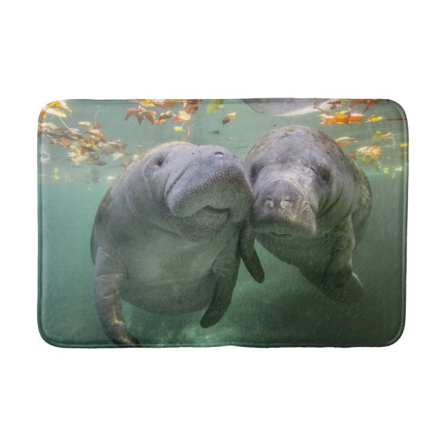 Tapis De Bain Animaux de bébés cutest | Deux Manatees (Devant)