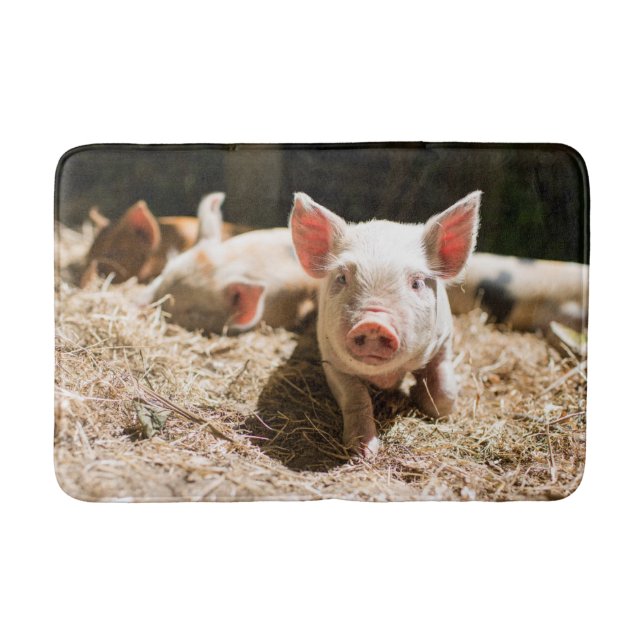 Tapis De Bain Animaux de bébés cutest | Piglet bébé mignon (Devant)