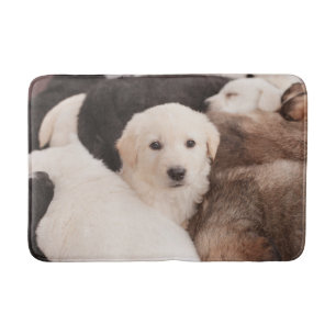Tapis De Bain Animaux de bébés cutest Un mignon seau de chiots