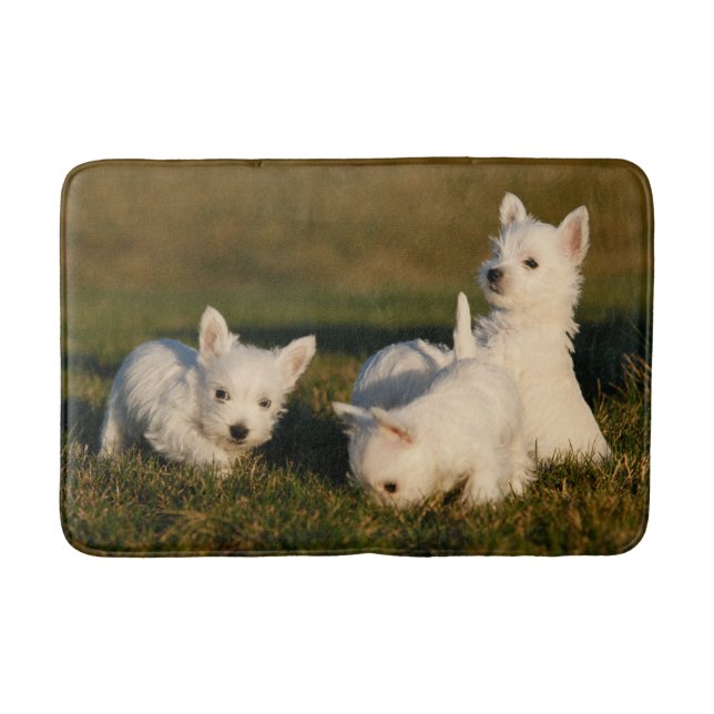 Tapis De Bain Animaux de bébés cutest | West Highland White Terr (Devant)