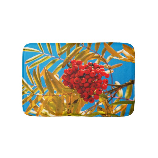 Tapis De Bain Ashberry (Devant)