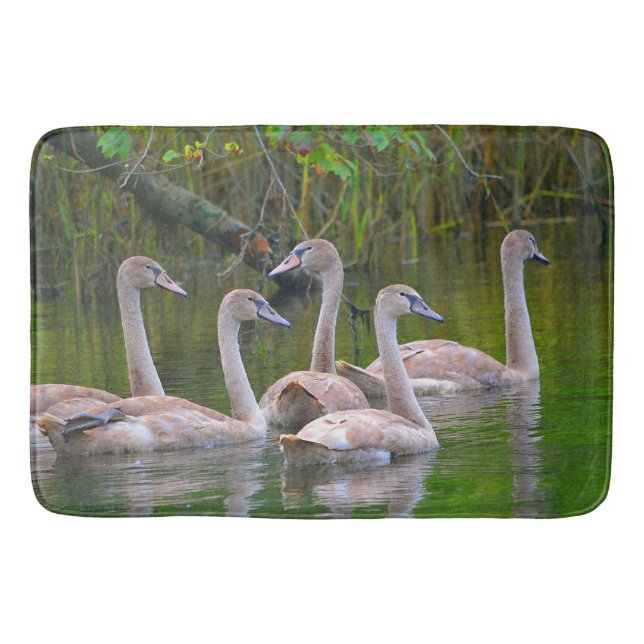 Tapis De Bain Bain de Swan (Devant)