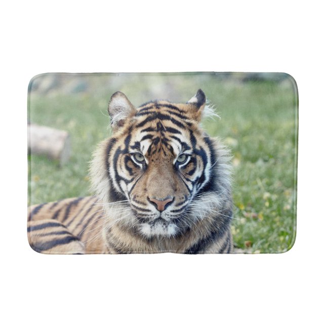 Tapis De Bain Bath Mat Photo chat tigre, animaux. (Devant)
