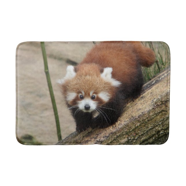 Tapis De Bain Bath Mat Photo panda rouge, animaux 0127. (Devant)