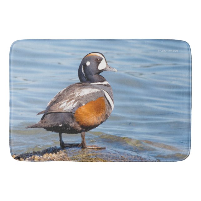 Tapis De Bain Beau canard arlequin sur le rocher (Devant)