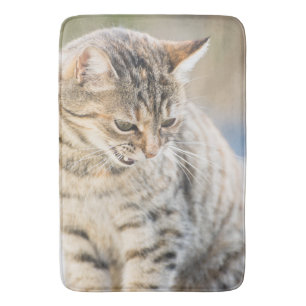 Tapis De Bain Beau chat
