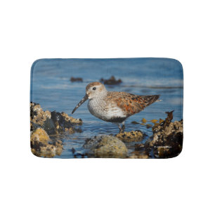Tapis De Bain Beau dunlin Shorebird à la plage