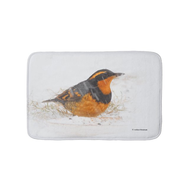 Tapis De Bain Beautiful Varied Thrush Songbird in the Snow (Devant)