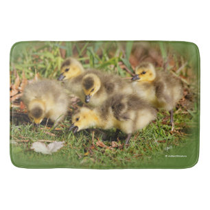 Tapis De Bain Bébé adorable Oies du Canada sur l'herbe