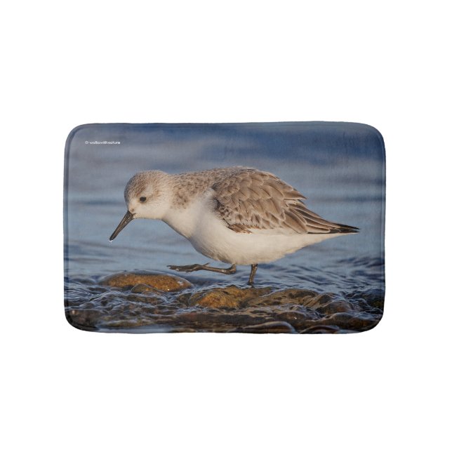 Tapis De Bain Bécasseau de Sanderling mignon Marche Plage d'hive (Devant)