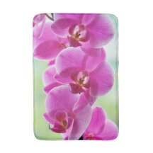 Belles orchidées roses