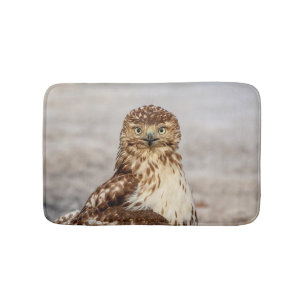 Tapis De Bain Buse à queue rouge immature au sol