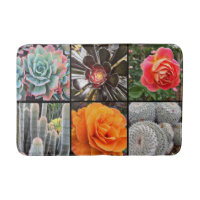 Cactus fleurs roses photo collage moderne bold