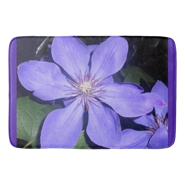 Tapis De Bain Césarine (Devant)