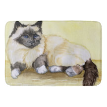 Chat birman Sealpoint