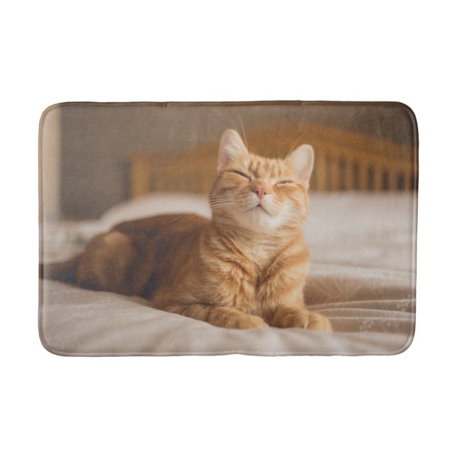 Tapis De Bain Chat somnolent des images | de Getty (Devant)