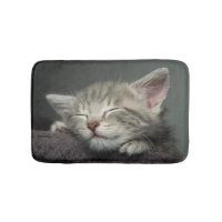 Chaton somnolent
