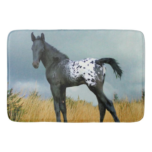 Tapis De Bain Cheval - colt 24" d'Appaloosa x 36" grand tapis de (Devant)