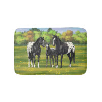 Chevaux Appaloosa Noir Dans Les Pâturages D'Été