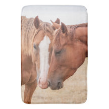 Chevaux qui se câlinent dans un pâturage