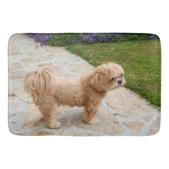Tapis De Bain Chien de Red Lhasa Apso (Devant)