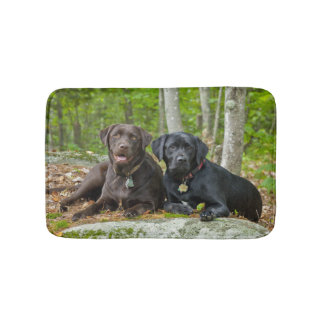 Tapis De Bain Chiens Chiens Marionnettes Black Lab Chocolat Labr