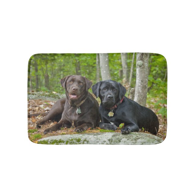 Tapis De Bain Chiens Chiens Marionnettes Black Lab Chocolat Labr (Devant)