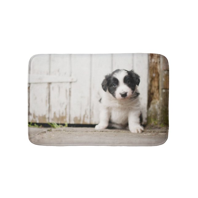 Tapis De Bain Chiot de border collie (Devant)