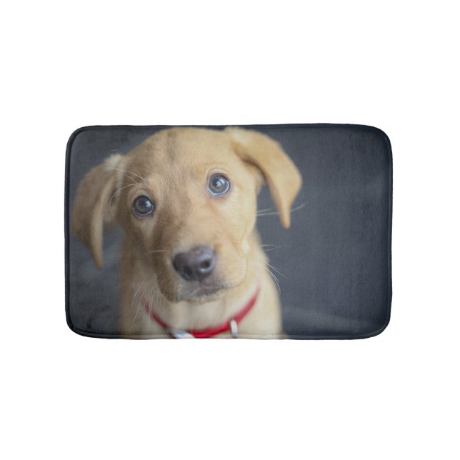 Tapis De Bain Chiot rouge de Fox Labrador (Devant)