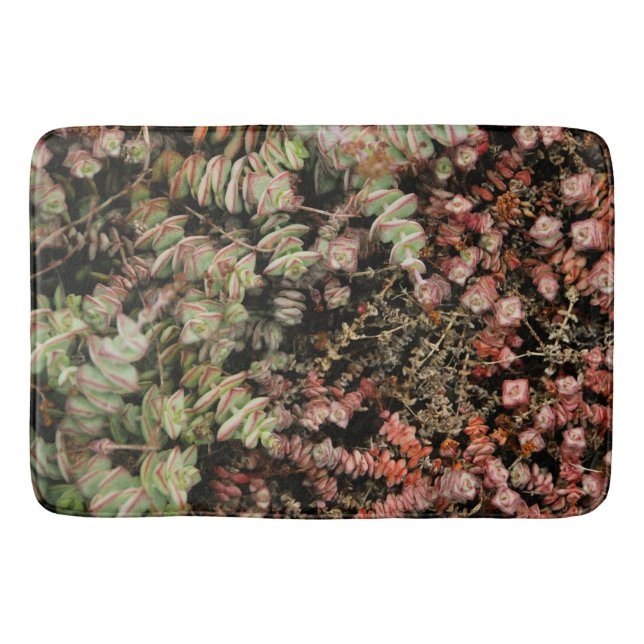 Tapis De Bain Crassula perforata (Devant)