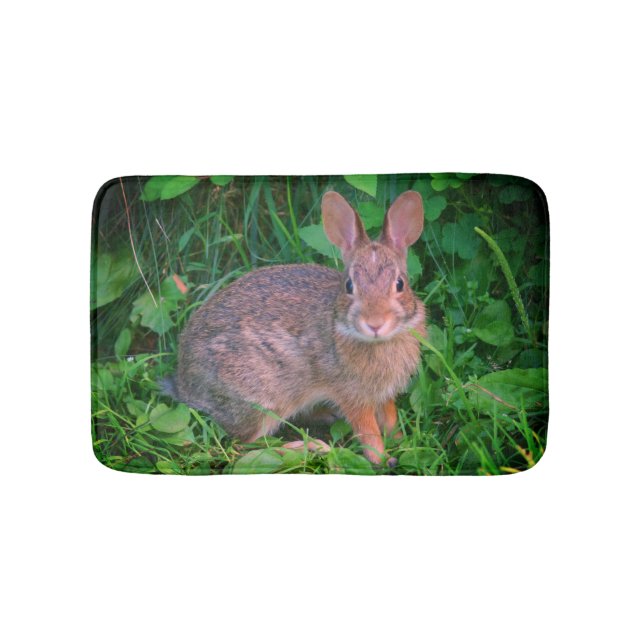 Tapis De Bain Cute Wild Brown Rabbit Faune  (Devant)