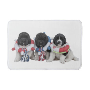 Tapis de bain de bébé de l'eau de Newfoundlands