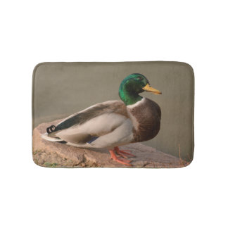 Tapis de bain de Drake de canard de Mallard