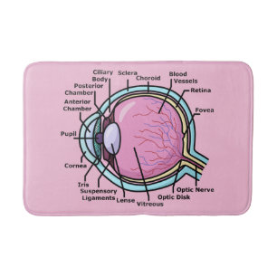 Tapis De Bain Diagramme de l'oeil