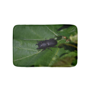Tapis De Bain Dorcus parallelipipedus, le moindre dendroctone du