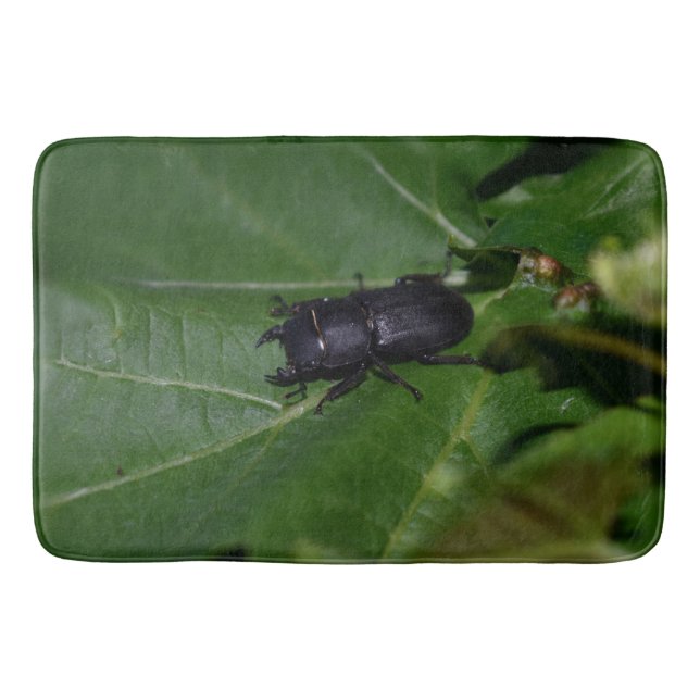 Tapis De Bain Dorcus parallelipipedus, le moindre dendroctone du (Devant)