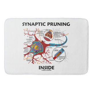 Tapis De Bain Élagage synaptique à l'intérieur de la neurologie