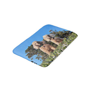 Tapis De Bain Épuisement - caniches - Romeo Remy